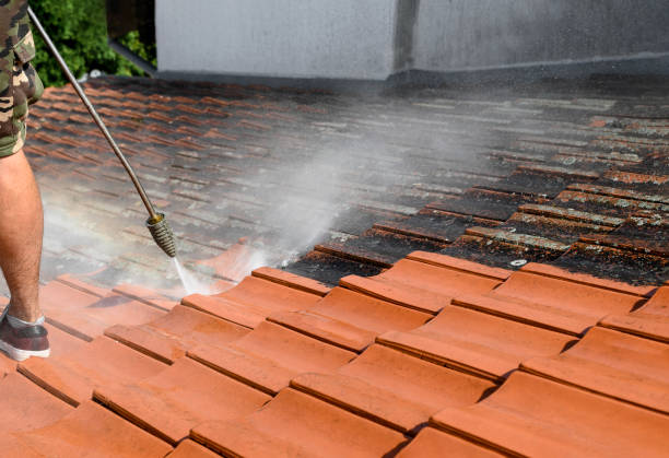 Pressure Washing Services for Businesses in Ray City, GA