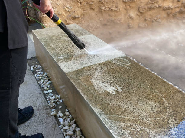 Best Roof Power Washing Services  in Ray City, GA