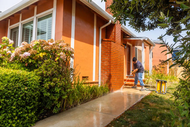 Best Deck Pressure Washing  in Ray City, GA